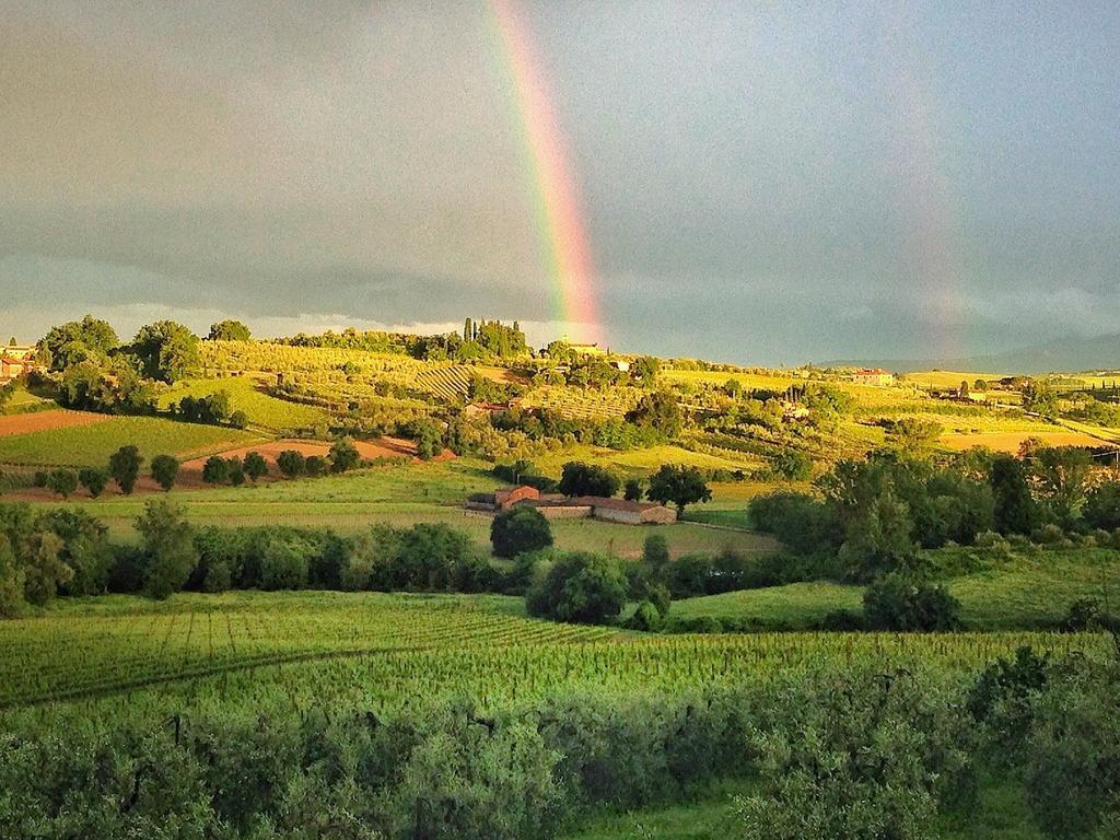 Agriturismo Sanguineto Acquaviva  Exterior foto